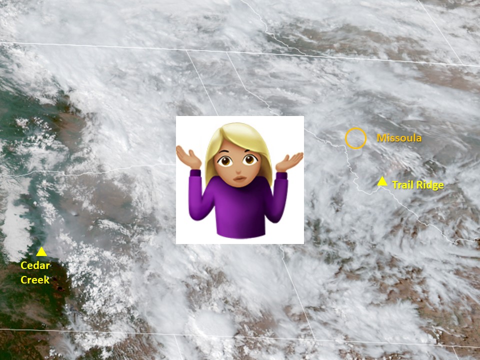 A satellite photo showing smoke and clouds over the Northwest with a female shrug emoji in the middle because the smoke forecast has no idea what's happening under the clouds.